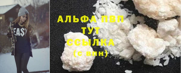 эйфоретик Покачи