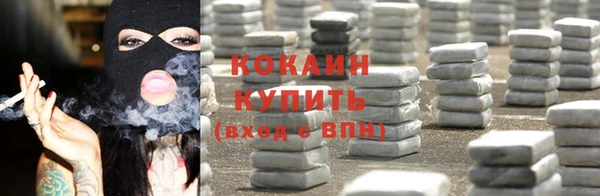 амф Пестово