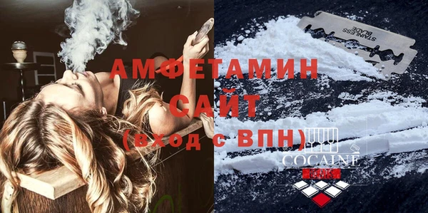 стафф Вязьма