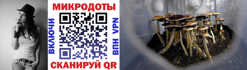 ссылка на мегу ссылки  Россошь  Галлюциногенные грибы ЛСД 