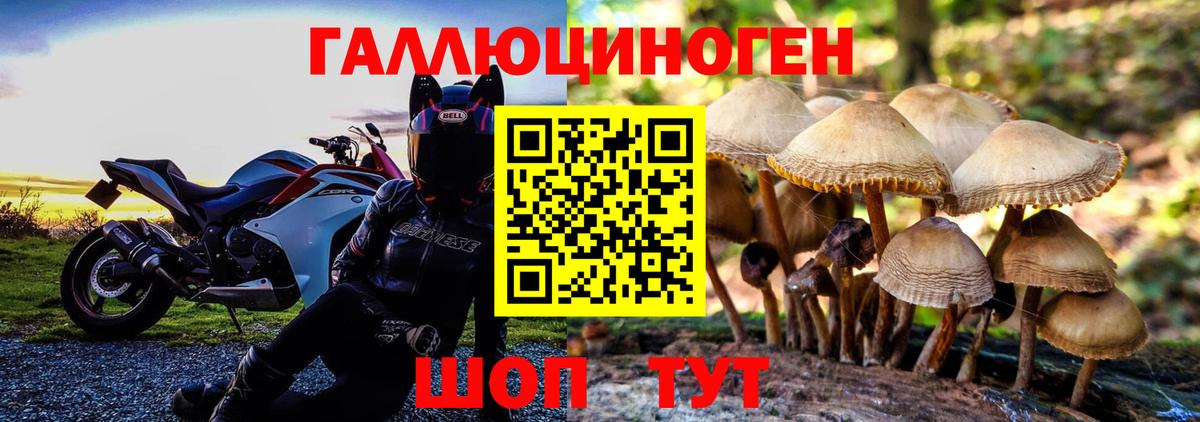 Россошь  Псилоцибиновые грибы мухоморы  Вход с VPN 
